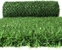 Gard verde din oțel Grass Fence 100cm*10m
