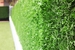 Gard verde din oțel Grass Fence 100cm*10m