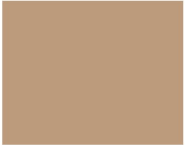 Герметик Baumit Baumicol Silikon 310мл brown