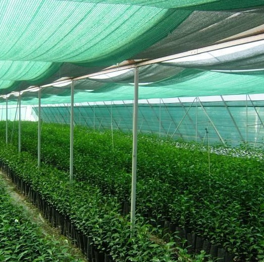 Plasă pentru umbră 4m 60%