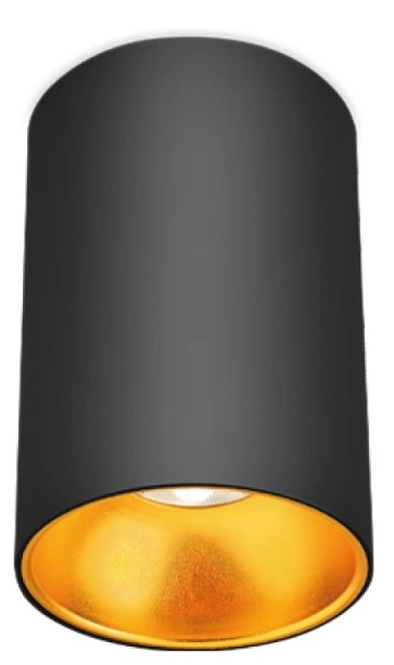 Светильник Beta-SR Braytron GU10 220-240VAC IP20 22707