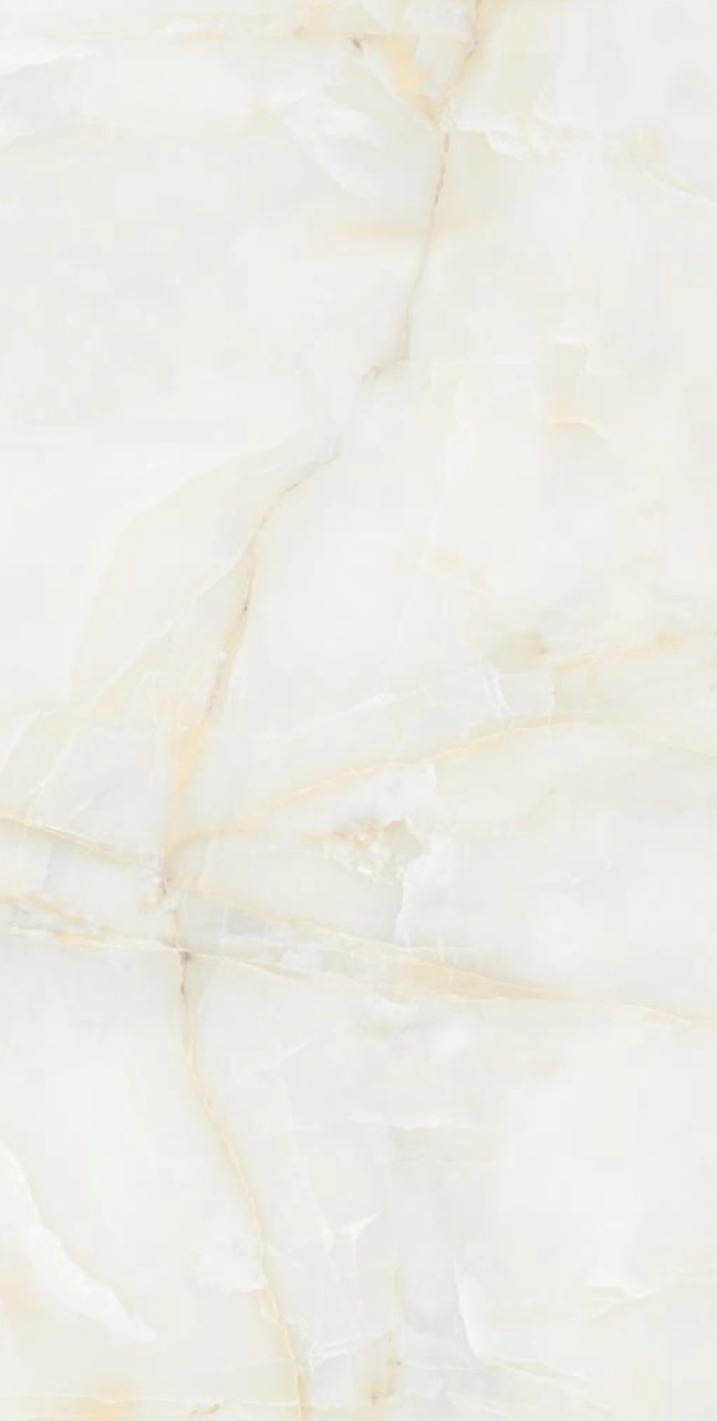 Gresie Izida Amonito 60x120 grey