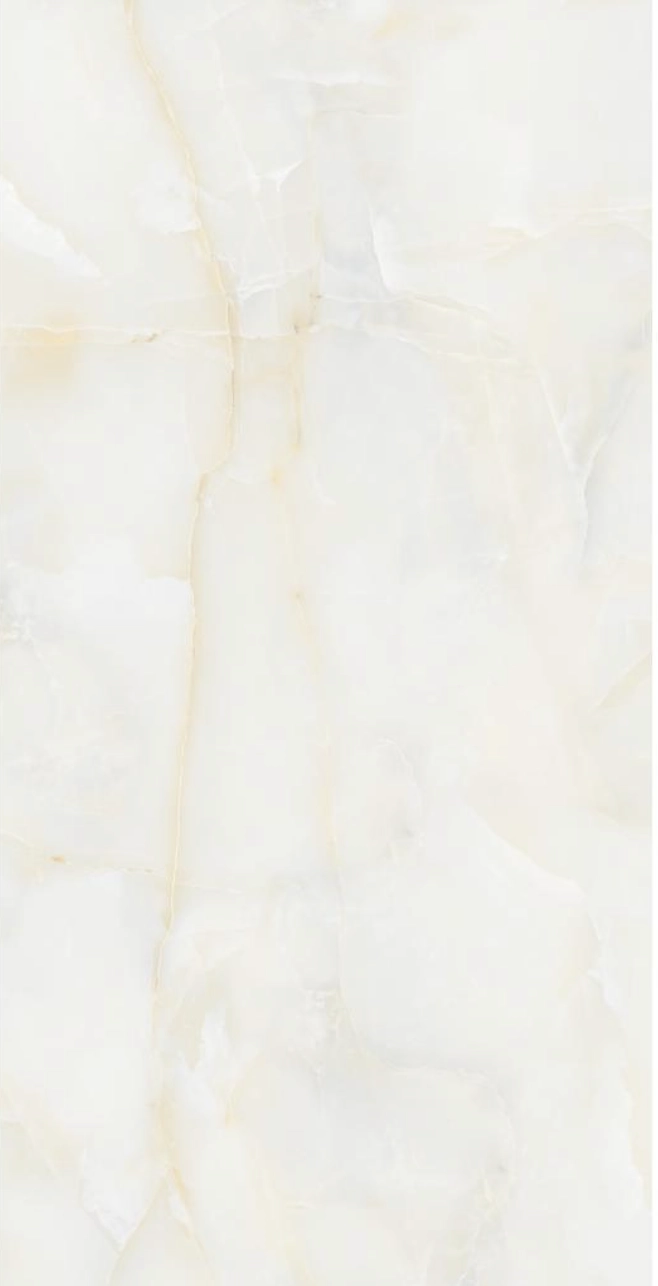 Gresie Izida Amonito 60x120 grey