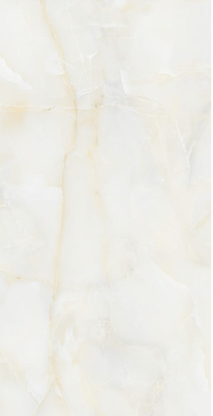 Gresie Izida Amonito 60x120 grey