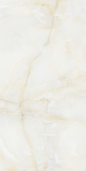 Gresie Izida Amonito 60x120 grey