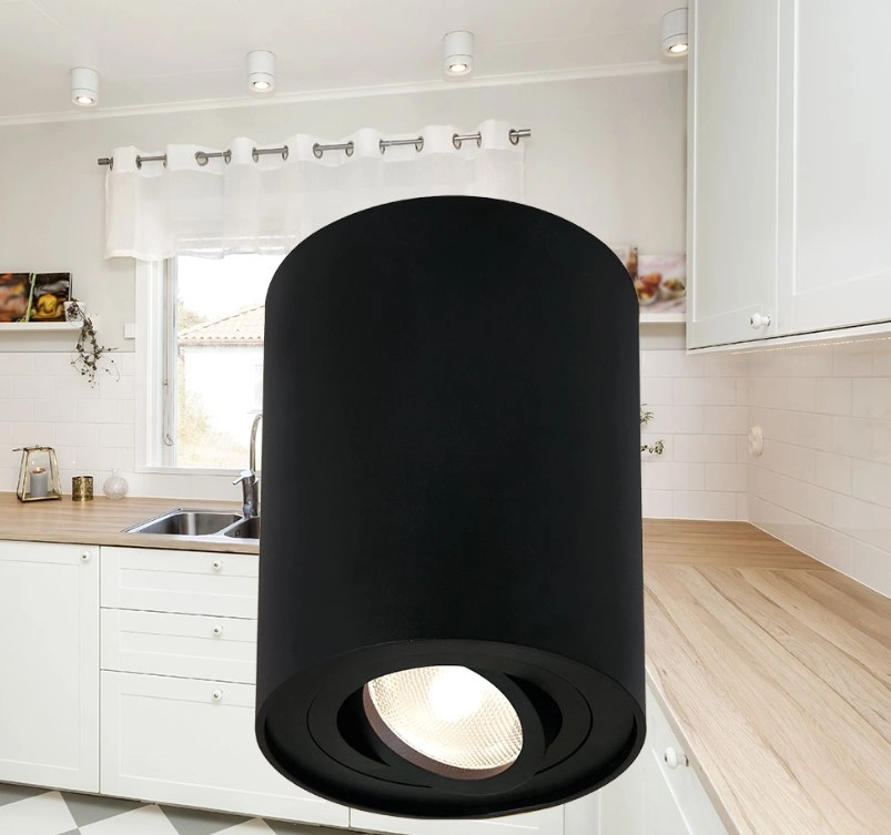 Светильник Gama-SR Braytron GU10 SR-RND-BLC IP20 BH04-00201 22711 