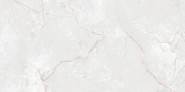 Керамогранит Asel Anka 60x120 White polished