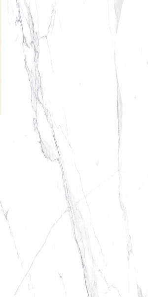 Gresie Asia Pacific Ceramic Roman Statuario 60x120 