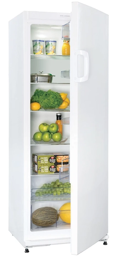 Frigider Snaige C 31SM-T1002E 14297 