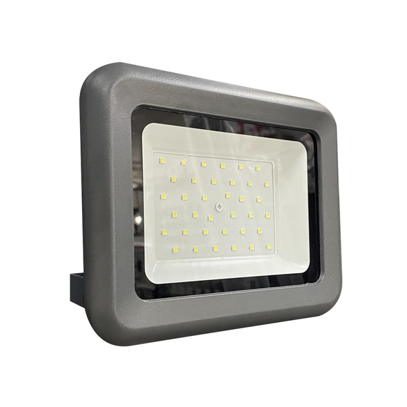 Прожектор Led E0015EI 30W 6500K IP65/0070059