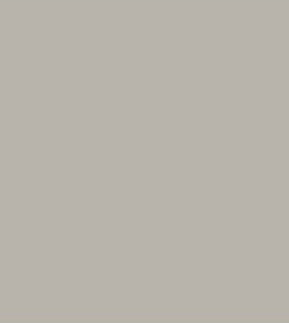 Chit Baumit Baumicol Silikon 310ml grey