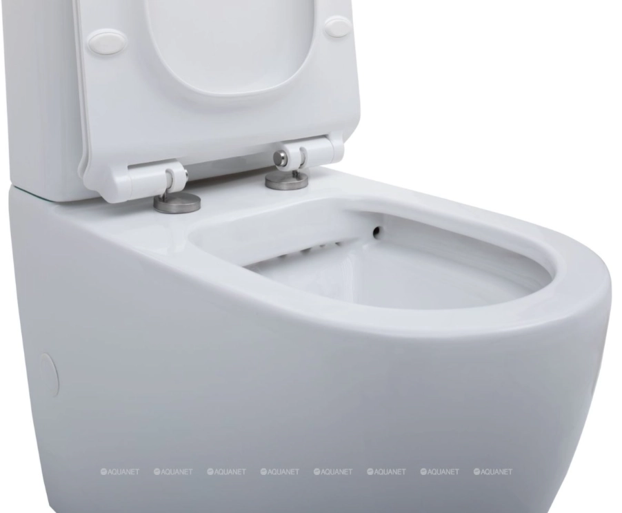 Vas WC Aquanet BL-102N -TPT 