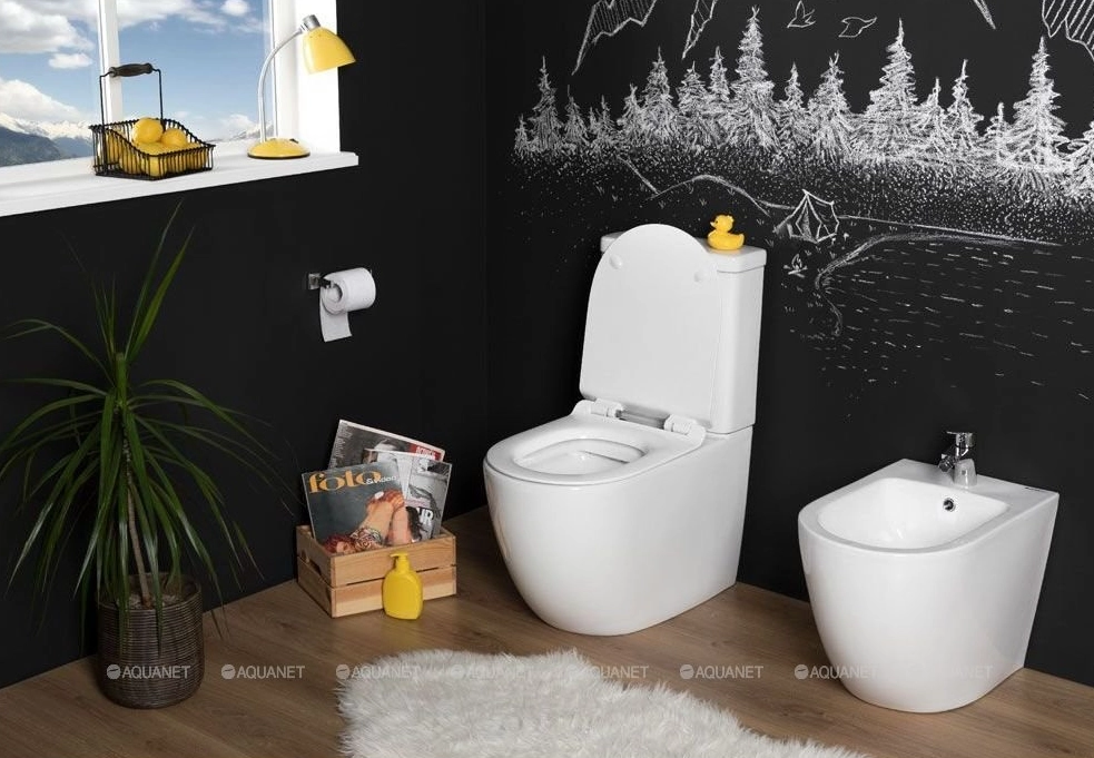 Vas WC Aquanet BL-102N -TPT 
