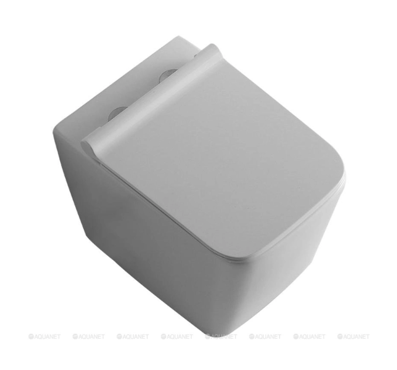 Vas WC Aquanet BL-103N-WHT 