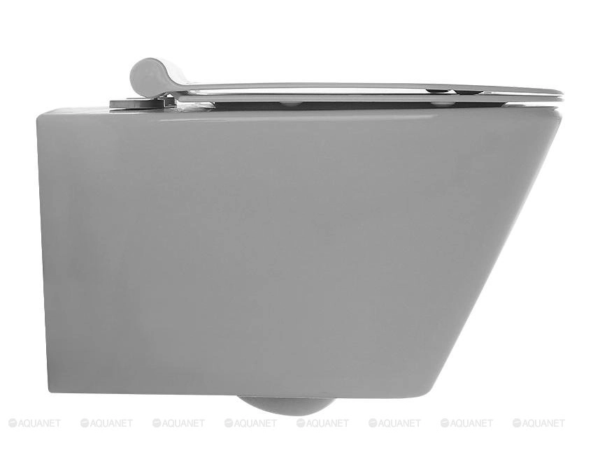 Vas WC Aquanet BL-103N-WHT 