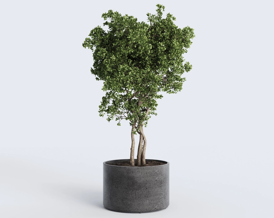 Горшок из бетона Cilindru D500мм x H500мм антрацит