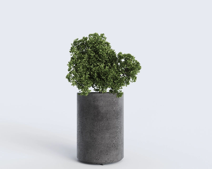 Ghiveci din beton Cilindru D 500mm x H500mm antracit 