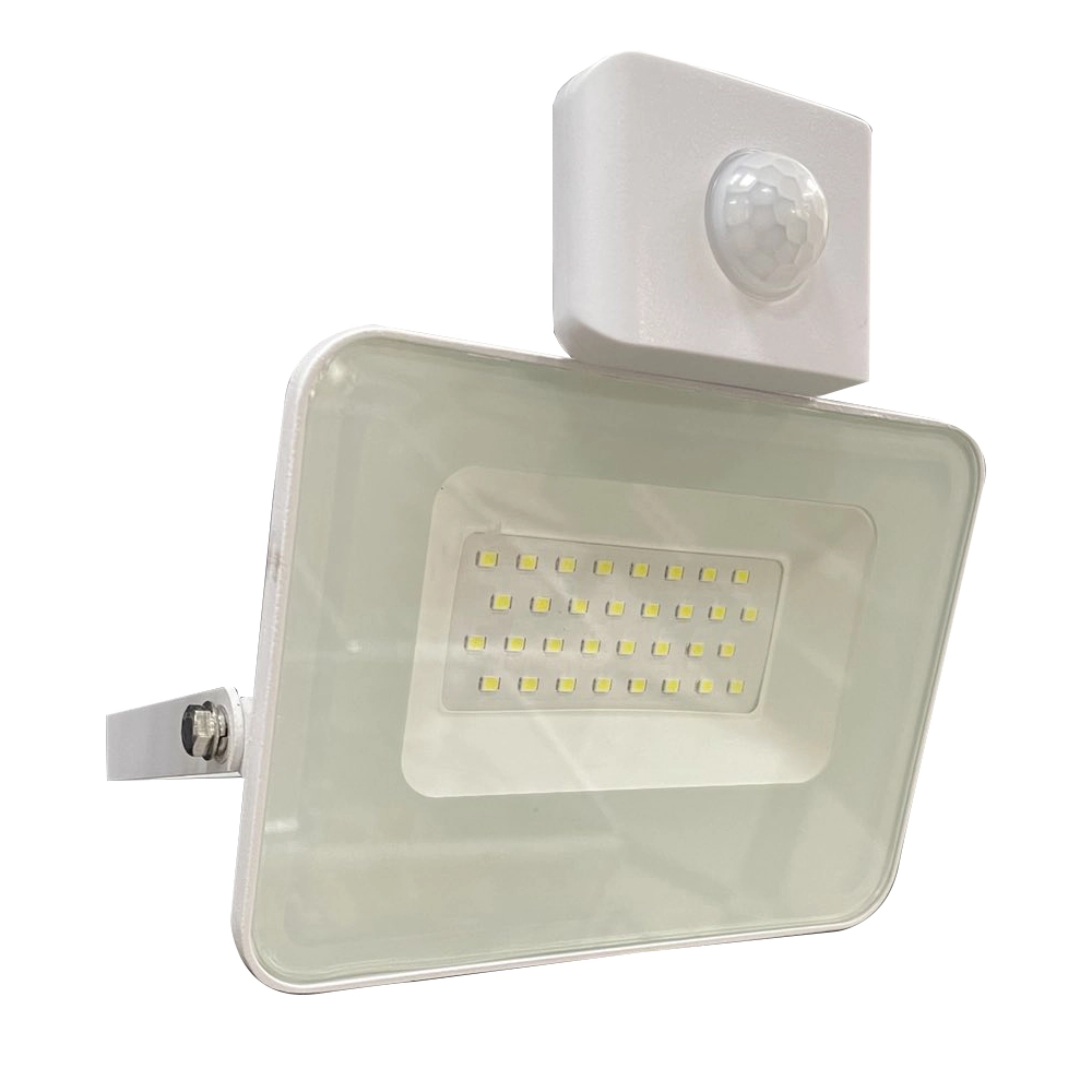 Прожектор Led E024E 20W 6500K IP65/0070068 