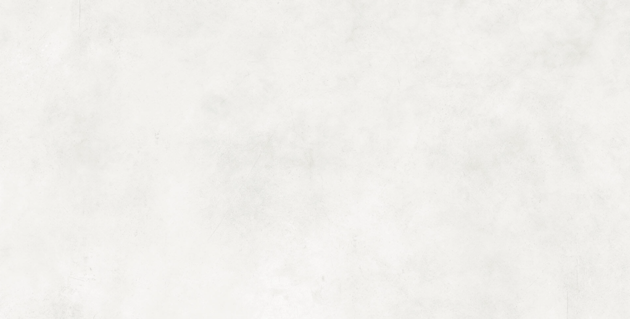 Gresie Altincini Ikon 60*120 white mat