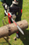 Fierestrău electric AL-KO EK 38516