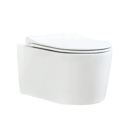 Vas WC Nysa no-Rim Soft Close White WH 121415 