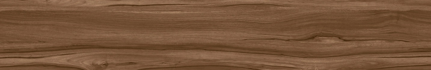 Gresie Anka Silva 20x120 brown