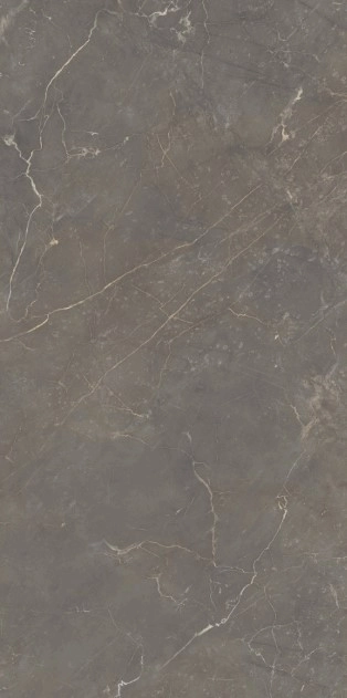 Gresie Makrana Alient 60x120 gris