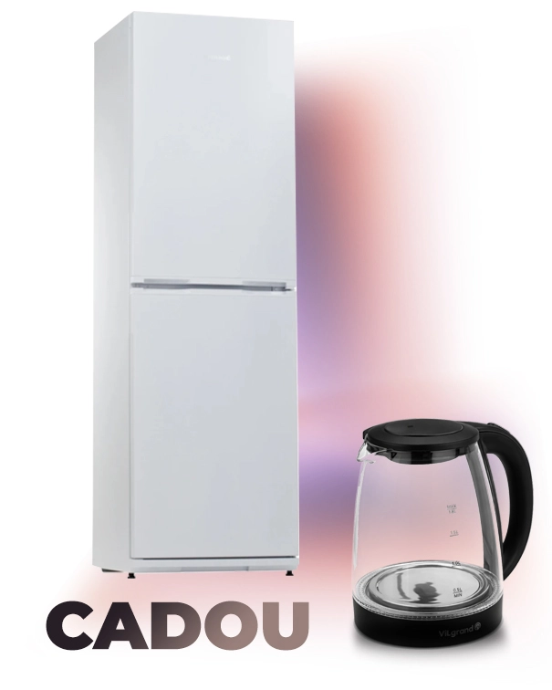 Frigider Snaige RF 35SM-S0002E 