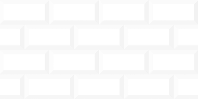 Faianță Anka Konsept 30x60 white