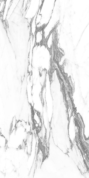 Gresie Altissimo white 60*120 