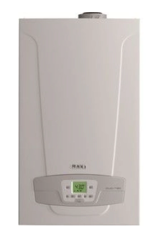 Cazan Baxi Eco Home 24F 