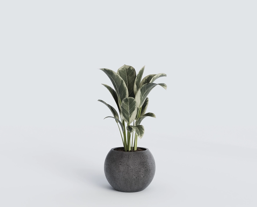 Горшок из бетона Luno D300мм grey