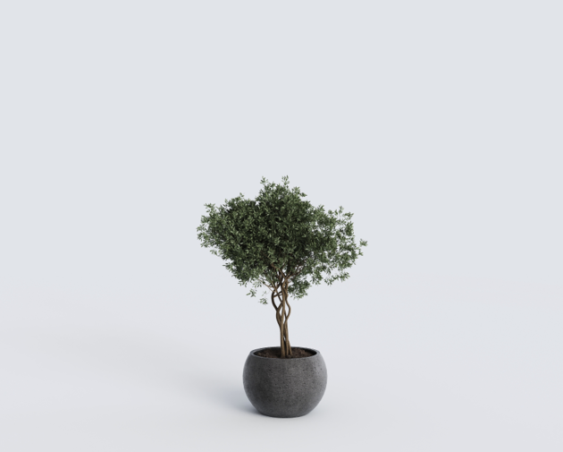Ghiveci din beton Luno D300mm grey