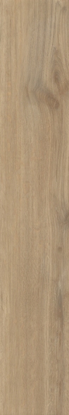 Плитка Joywood day 20x120 B3