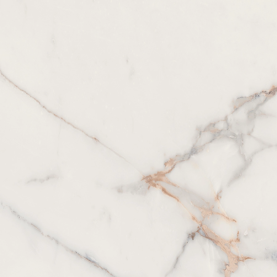 Faianță Bien Marvy 45x45 matte