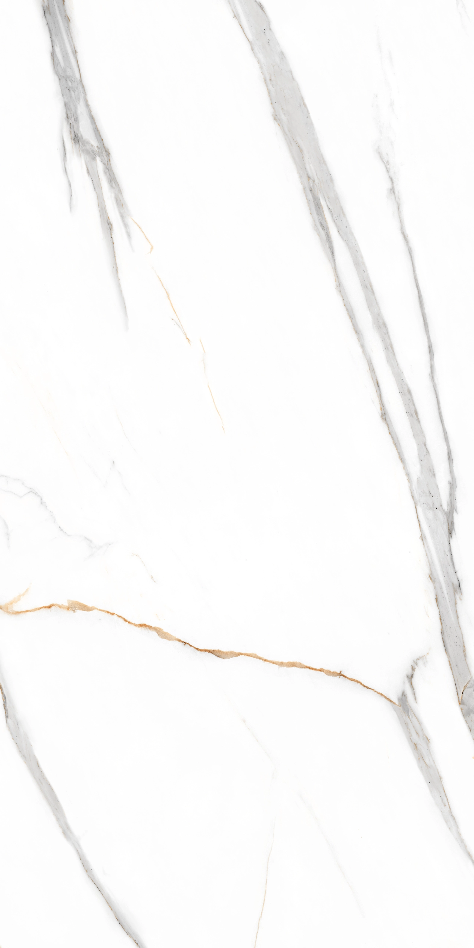 Gresie Road Carving 60x120 White