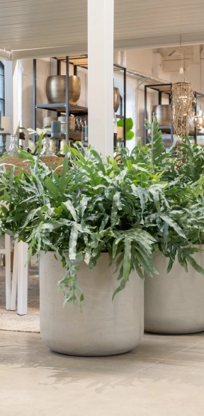 Ghiveci din beton Jumbo Charlie M Antracit 