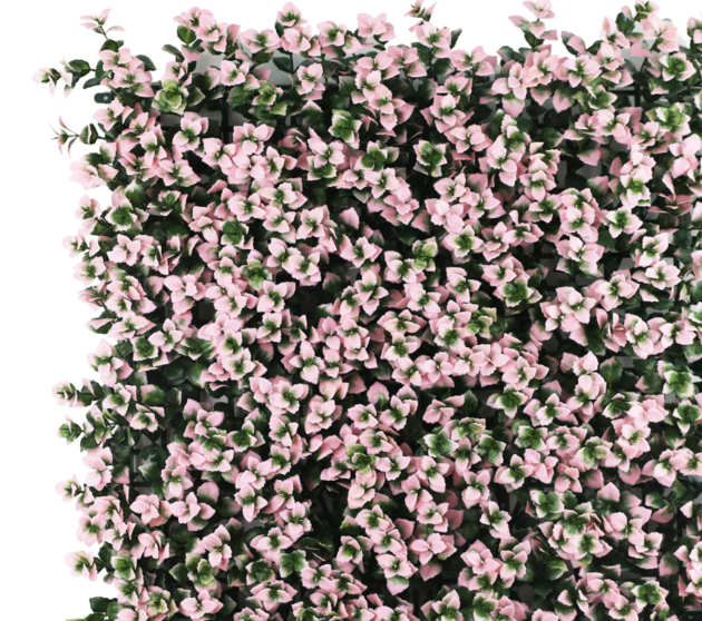 Acoperire decorativă LP Pachysanfra pink 50x50 cm 17676