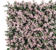 Acoperire decorativă LP Pachysanfra pink 50x50 cm 17676