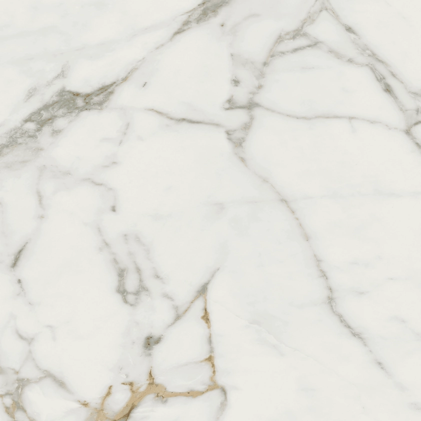 Gresie Bien Destiny 61x61 white