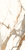 Плитка Rome 60*120 Margret