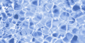 Плитка Altin Cini Seramik Havuz 30x60 mavi