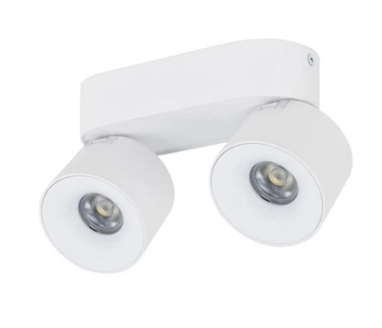 Спот spark duo white CCT 20W 18171 