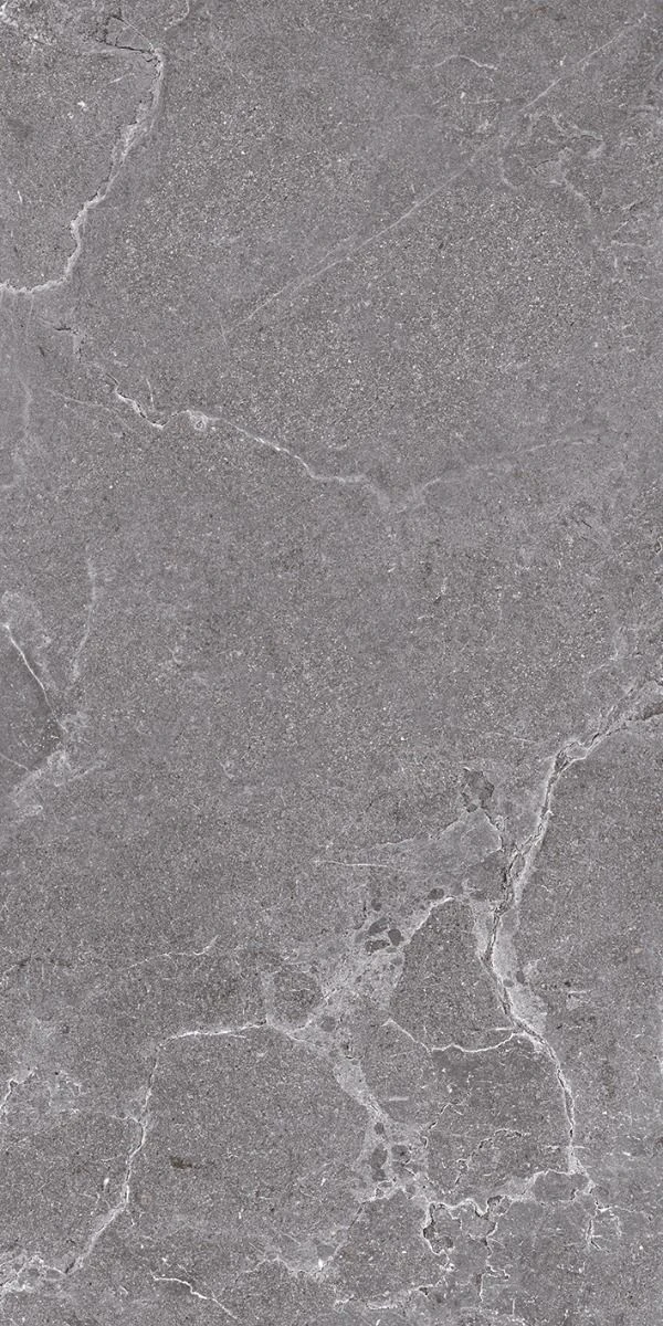 Gresie Salus 60x120 QUA grey 