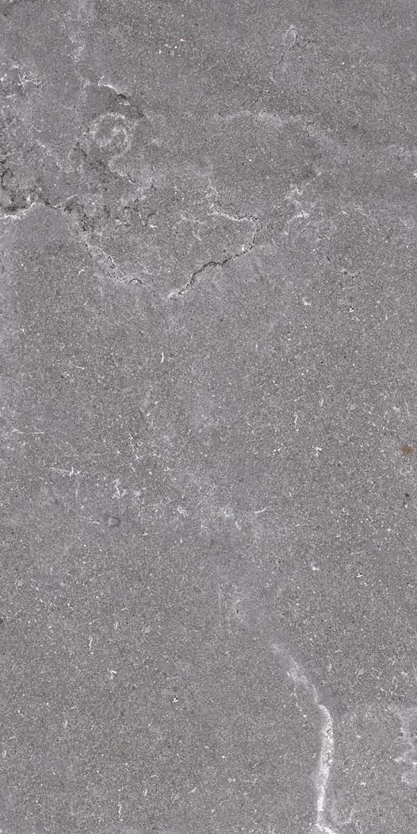Gresie Salus 60x120 QUA grey 