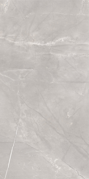 Faianță Pinapulpis  60*120 l.grey