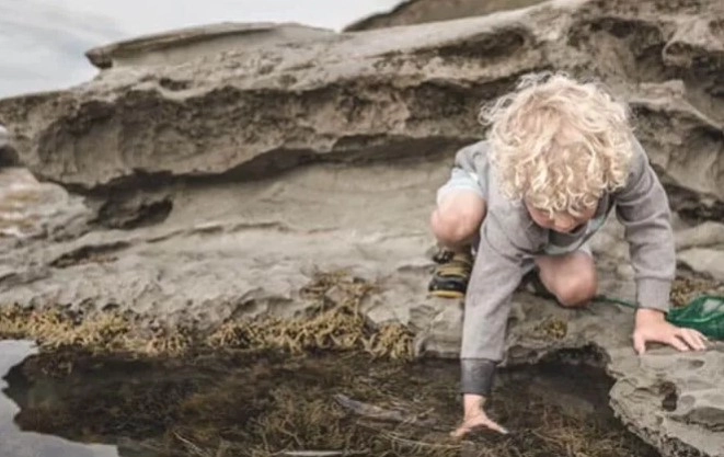 Laminat Natura Line AGT 510 